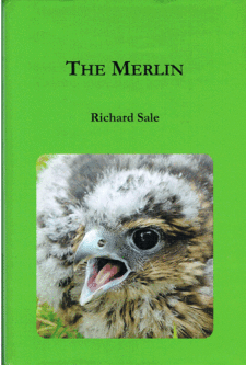 The Merlin