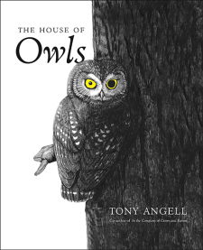 The House of Owls