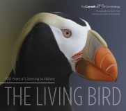 The Living Bird: 100 Years of Listening to Nature