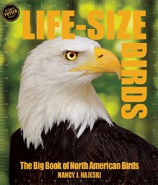 Life-size Birds: The Big Book of North American Birds