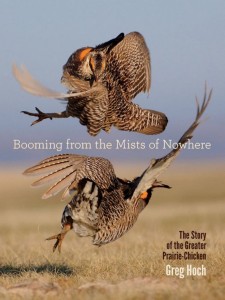 Booming from the Mists of Nowhere: The Story of the Greater Prairie-Chicken