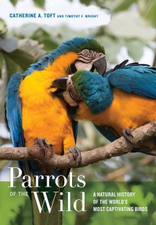Parrots of the Wild: A Natural History of the World’s Most Captivating Birds