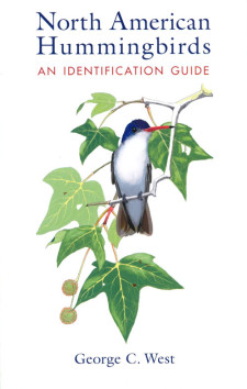 North American Hummingbirds: An Identification Guide