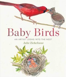 Baby Birds: An Artist Looks into the Nest