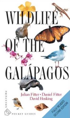 Wildlife of the Galapagos