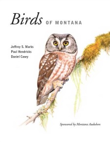 Birds of Montana