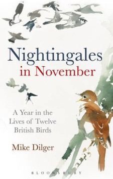 Nightingales in November: A Year in the Lives of Twelve British Birds