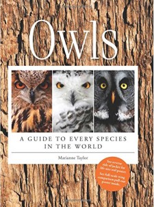 Owls: A Guide to Every Species in the World