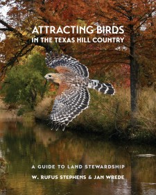 Attracting Birds in the Texas Hill Country