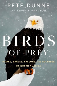 Birds of Prey: Hawks, Eagles, Falcons, and Vultures of North America