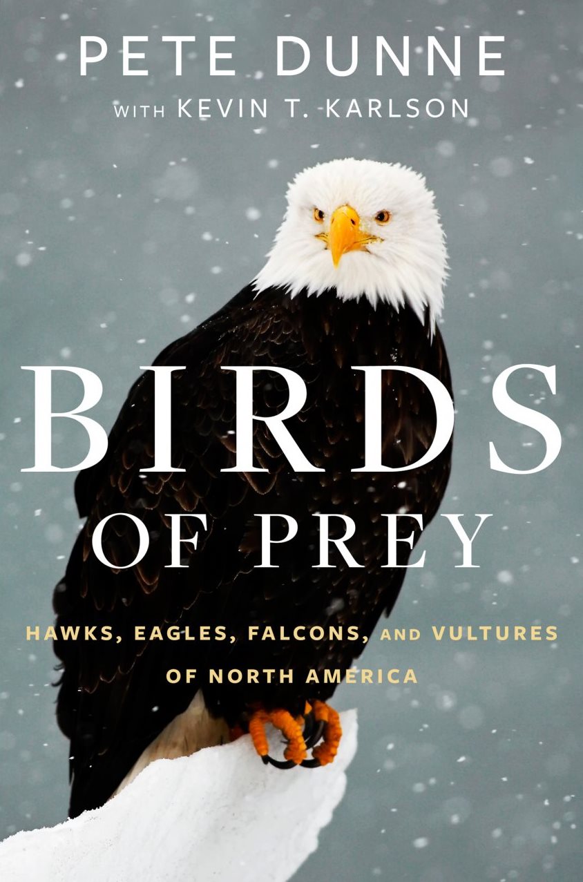 New Book Birds of Prey Hawks, Eagles, Falcons, and Vultures of North America