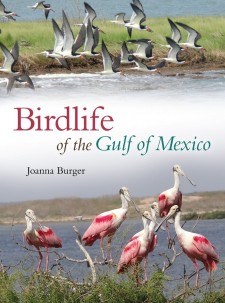 Birdlife of the Gulf of Mexico