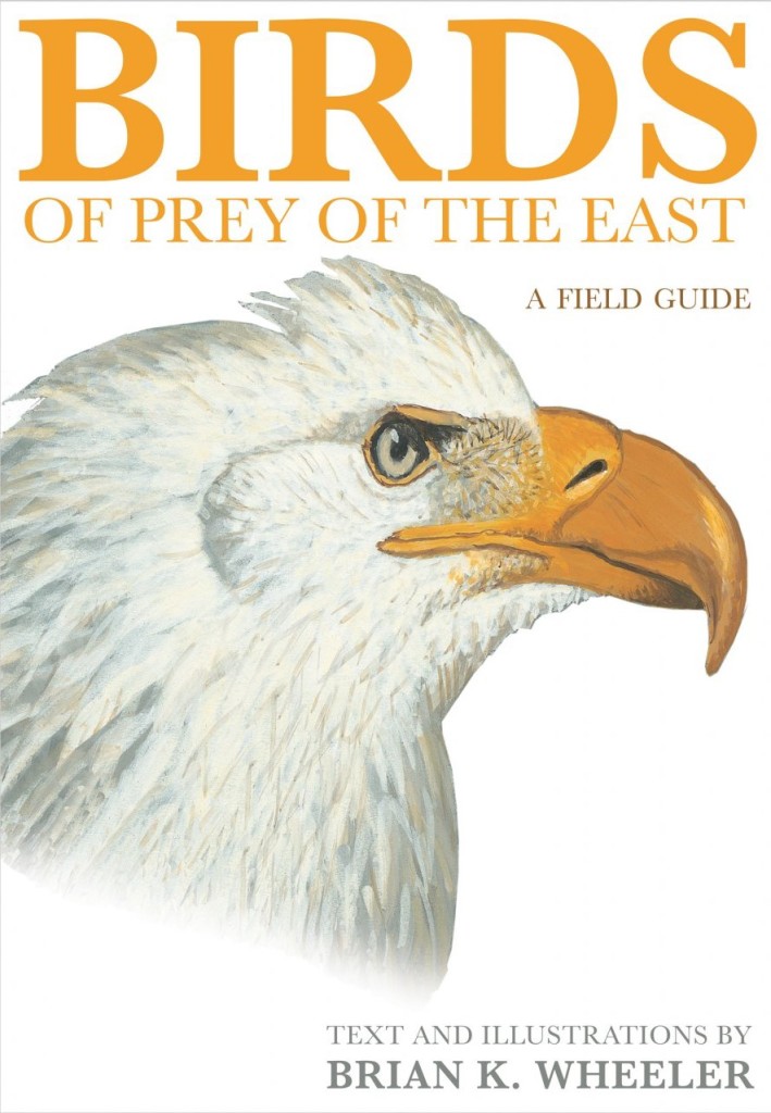 New Books Birds of Prey of the East / West