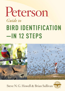 Peterson Guide to Bird Identification―in 12 Steps