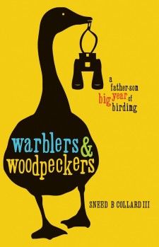 Warblers & Woodpeckers