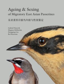 Ageing and Sexing of Migratory East Asian Passerines