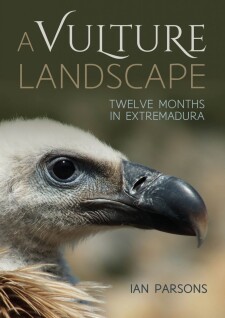 A Vulture Landscape: Twelve months in Extremadura