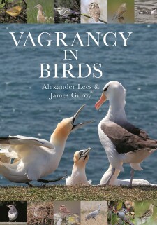 Vagrancy in Birds