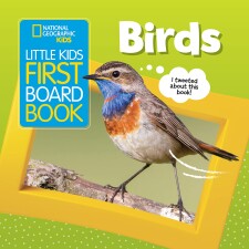 Little Kids First Board Book: Birds