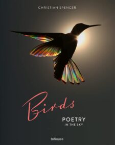 Birds: Poetry in the Sky